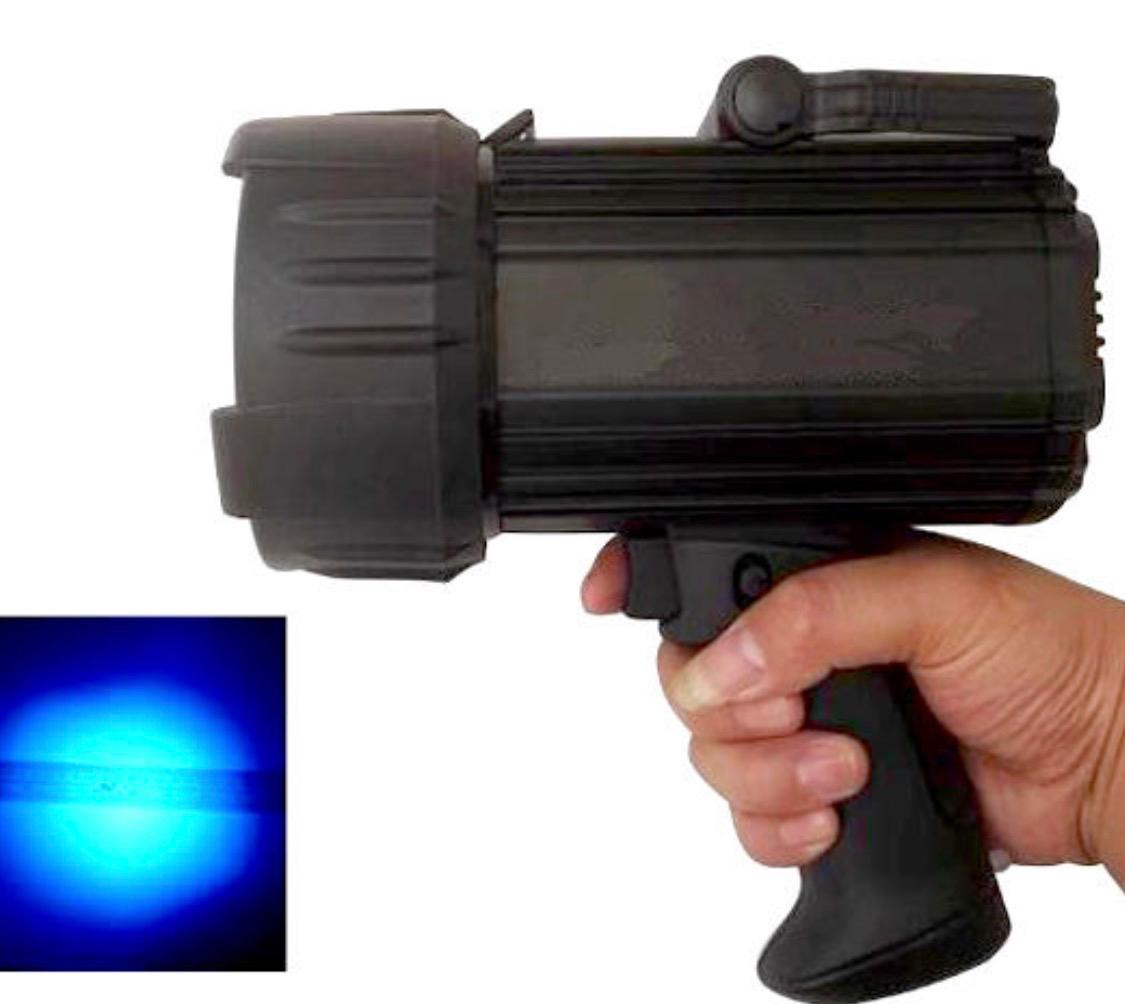 BLACK LIGHT (UV LIGHT)